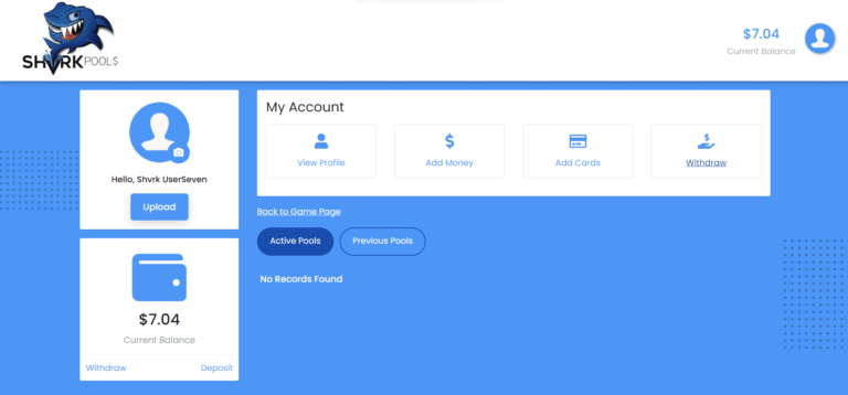 Screenshot 2023-05-05 162245 Shvrk Pools Screenshot - 3