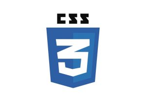 CSS 3